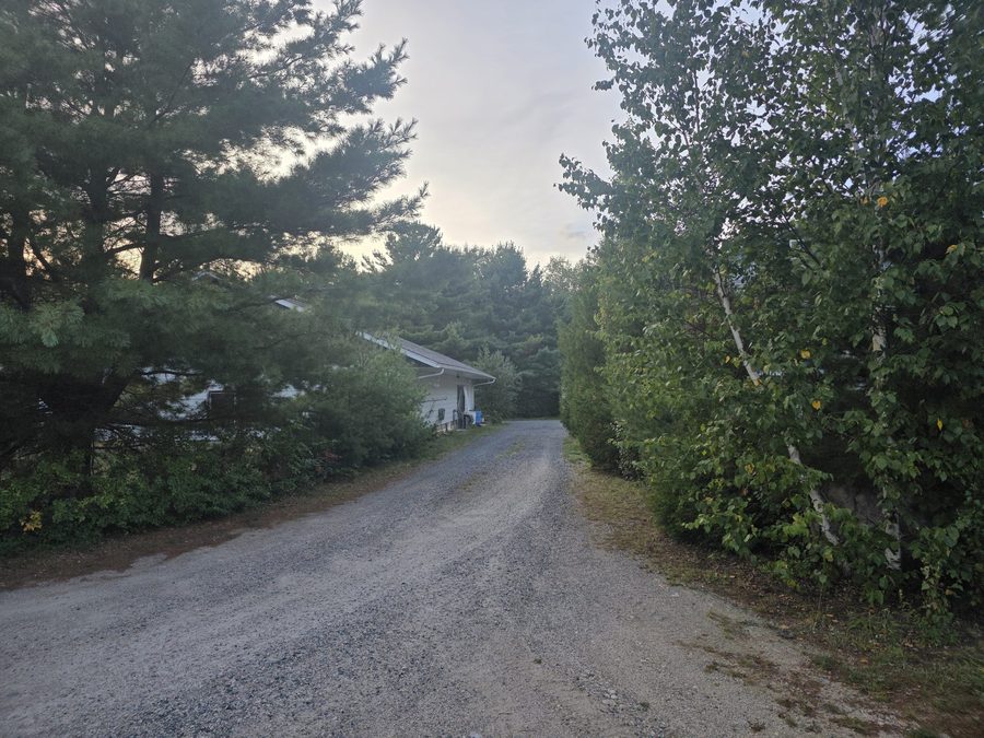 Drive-around driveway and wooded approach