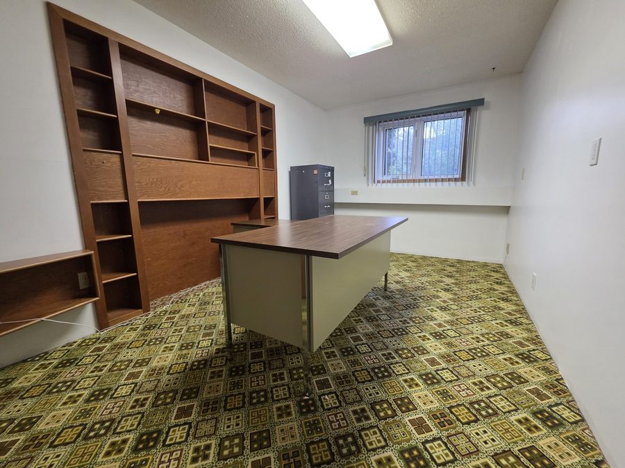 Basement office